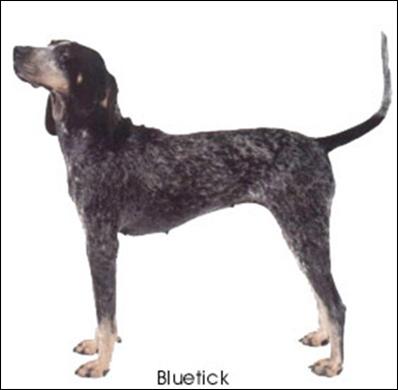 Click to view exif information