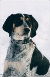 Click to view exif information