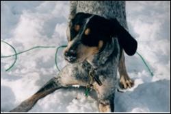 Click to view exif information