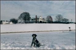 Click to view exif information