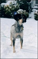 Click to view exif information